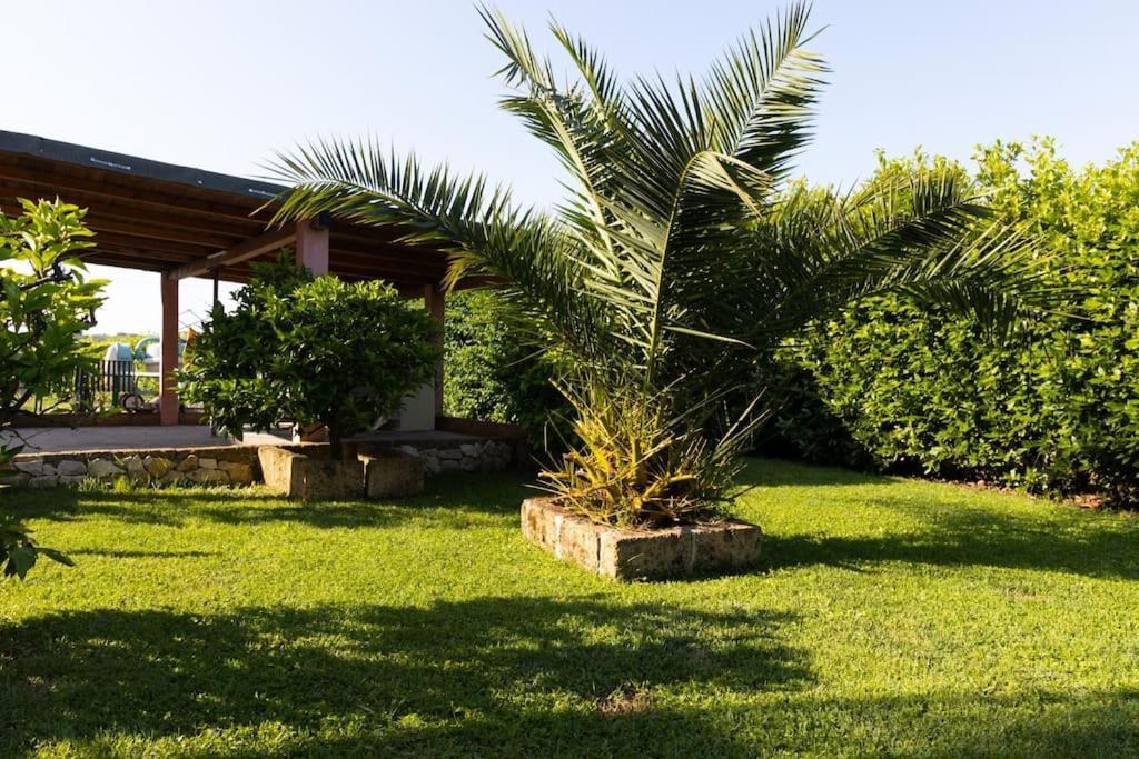 Casale Toscano Piscina Wi-Fi Capannori Eksteriør billede